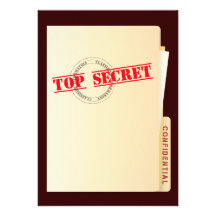 Top Secret Surprise Birthday Party Custom Invites