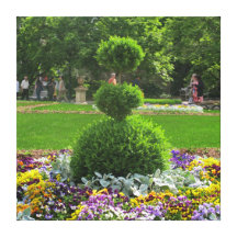 topiary gallery wrapped canvas