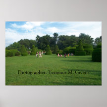Topiary gardens - Poster