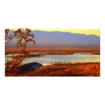 Topock Bay, Arizona Photo Cards