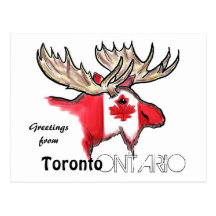 Toronto Ontario Canada local flag postcard