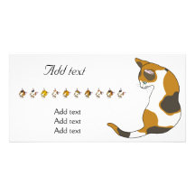tortoise-shell cat picture card