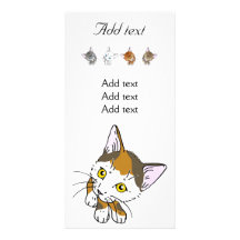 Tortoiseshell cat (三毛猫) custom photo card