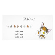 Tortoiseshell cat (三毛猫) personalized photo card