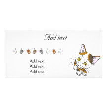 Tortoiseshell cat (三毛猫) photo card