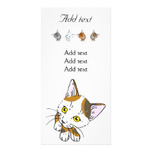 Tortoiseshell cat (三毛猫) photo greeting card