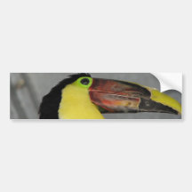 Toucan Bumpersticker Bumper Sticker