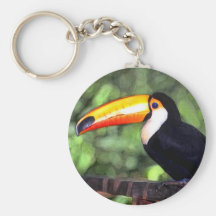 'Toucan' Key Chain