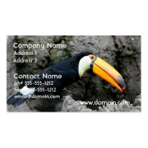 Toucan with Berry Business Cards