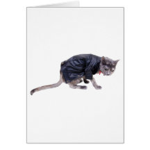Tough Cat profile Greeting Cards