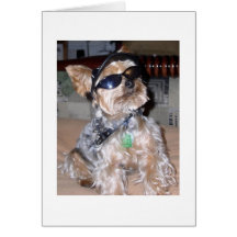 Tough Dog Greeting Card