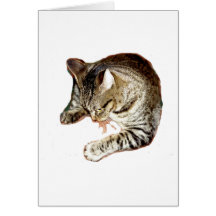 Tough Kitty Card
