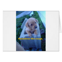 tough times: puppy card