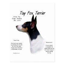 Toy Fox Terrier History Design Post Cards