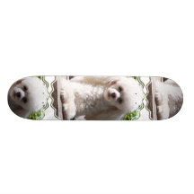 Toy Poodle Skateboard