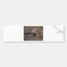traditional turkey hunt bumper sticker