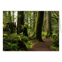 Trail Amongst Giants Card