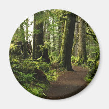 Trail Amongst Giants Fridge Magnets