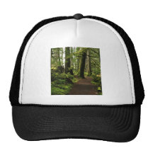 Trail Amongst Giants Hats