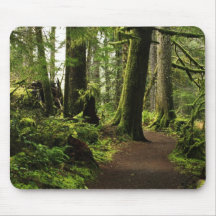 Trail Amongst Giants Mousepads