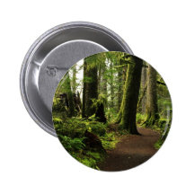 Trail Amongst Giants Pinback Button