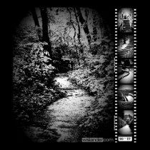 Trail Image Poster posters