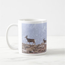 Trailing Deer Mug