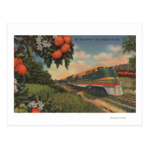 Train- Orange Blossom Special Postcard