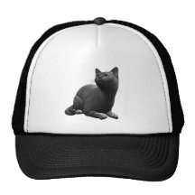 Tranquil Black Cat Hat