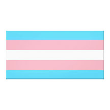Transgender Pride Flag Stretched Canvas Print