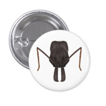 Trap jaw ant button