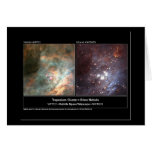 Trapezium Cluster Hubble Telescope Photo Greeting Cards