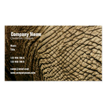 Travel agents, Safari tours, taxidermists, vets Business Card Template