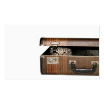 Travelling cat business card