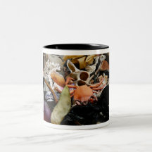 Treasure by the Sea Coffee Mugs