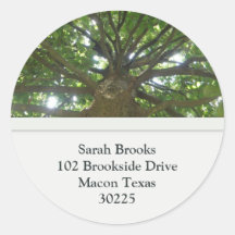 Tree Address Labels Round Stickers