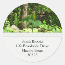 Tree Address Labels Round Stickers