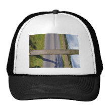 Tree along a road trucker hat