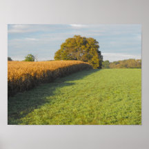 Tree and field, DSCF6987 Poster