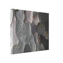 Tree Bark macro photography Canvas Prints