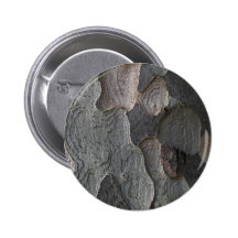Tree Bark macro photography Pinback Button