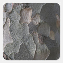 Tree Bark macro photography Square Stickers
