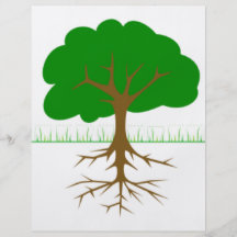 Tree Branches and Roots Full Color Flyer
