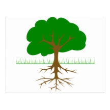 Tree Branches and Roots Postcards