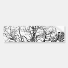 Tree branches bumper sticker