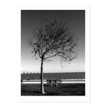 tree cartão postal
