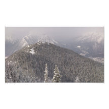 Tree Covered Mountain Top Art Photo