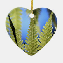Tree fern leaf detail christmas tree ornaments