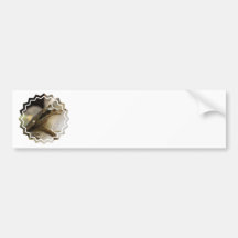 Tree Frog Bumper Stickers