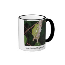 Tree Frog Mug